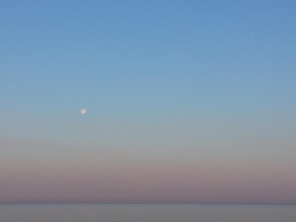 Terrazzo Sul Mare Apartment ดอนนาลูกาตา ภายนอก รูปภาพ
